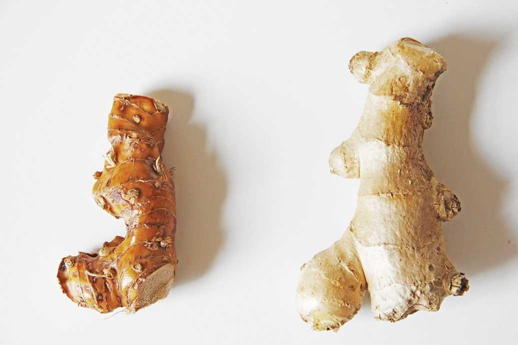 Galangal vs Jahe: Perbedaan dan Manfaat untuk Kesehatan