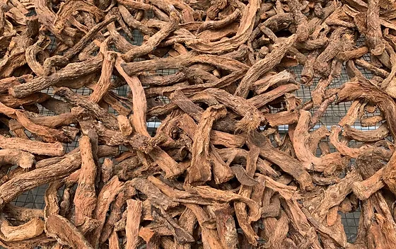 The Rising Demand for Dried Nampu in Traditional Remedies